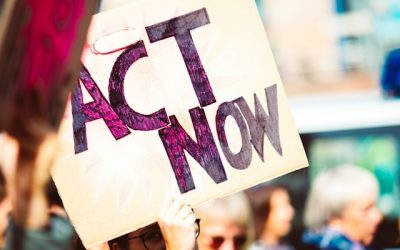 Activism that Works – Oct. 11, 2-4 p.m.